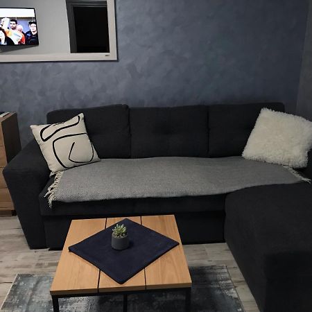 Homely Apartment Suceava Extérieur photo