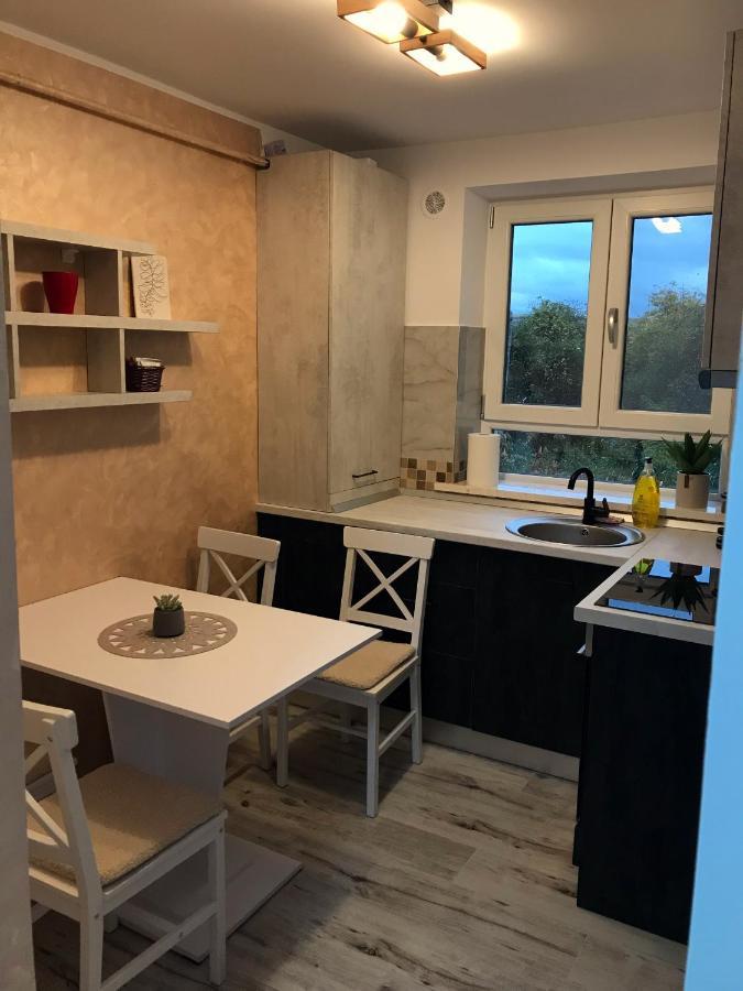 Homely Apartment Suceava Extérieur photo