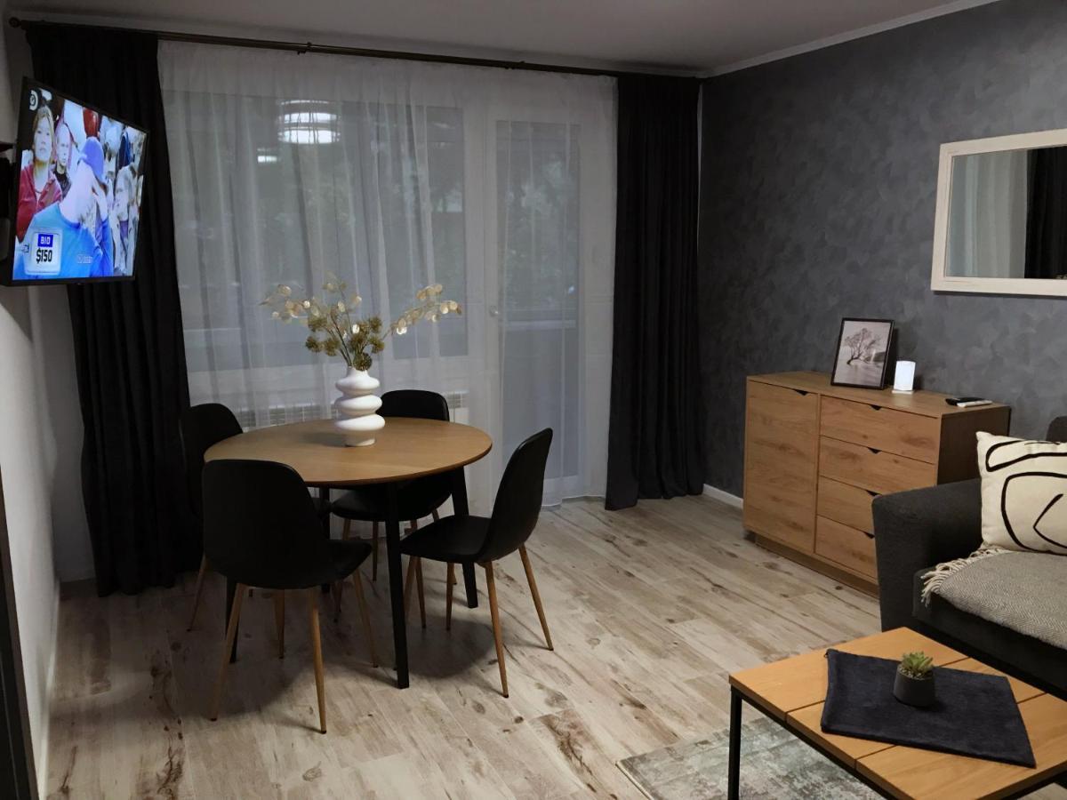 Homely Apartment Suceava Extérieur photo
