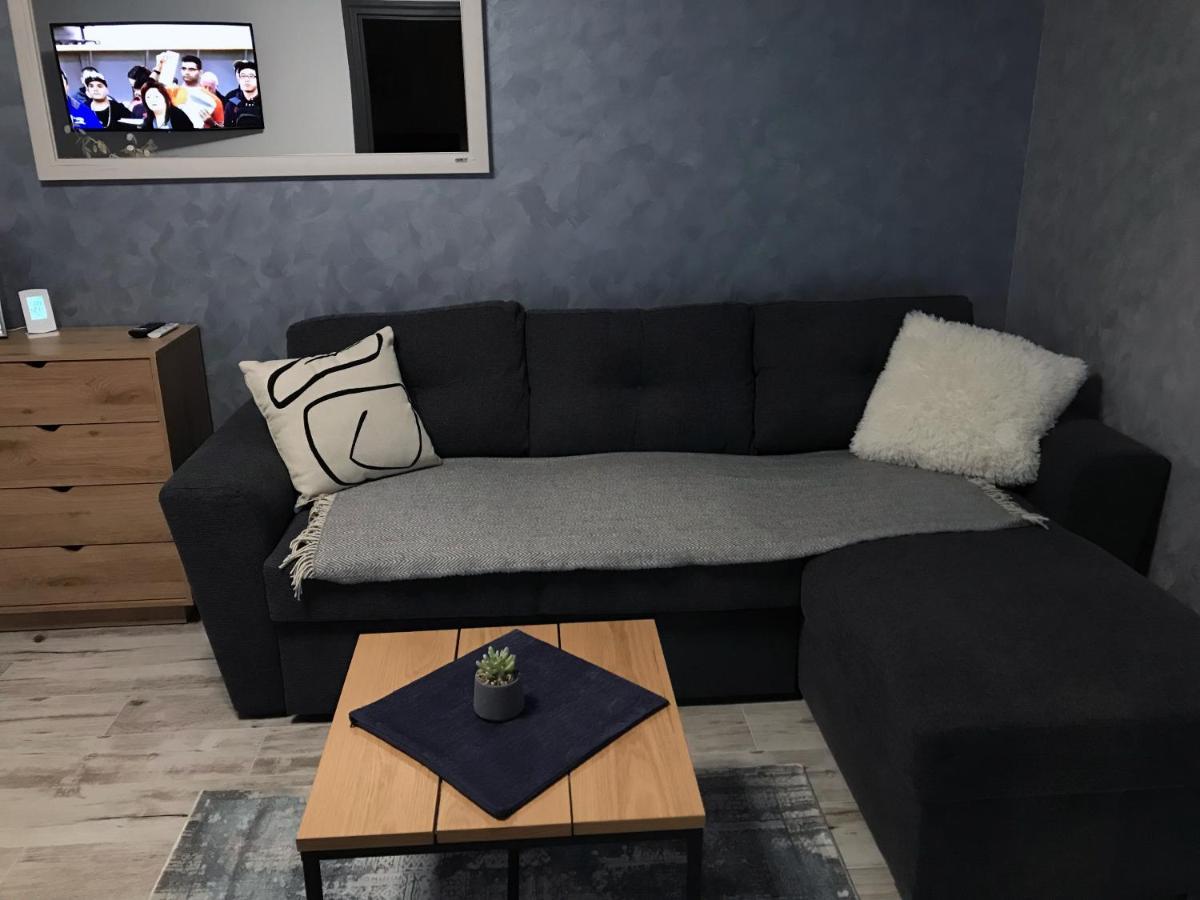 Homely Apartment Suceava Extérieur photo