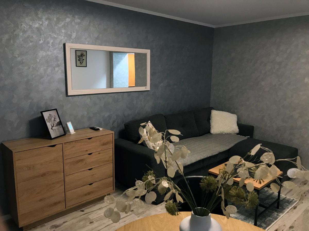 Homely Apartment Suceava Extérieur photo